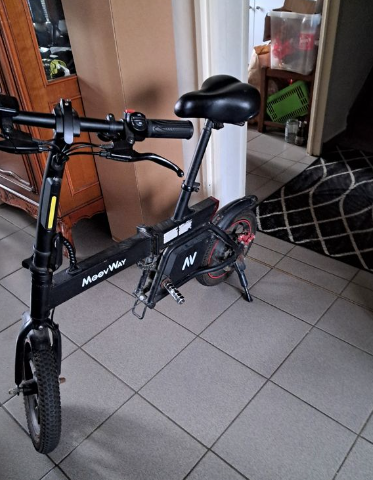 Draisienne moovway c19 en l'état