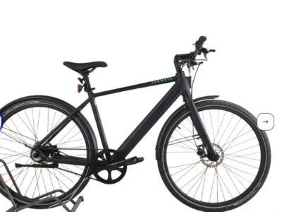 Vélo de ville électrique TENWAYS CGO600 pro - Noir